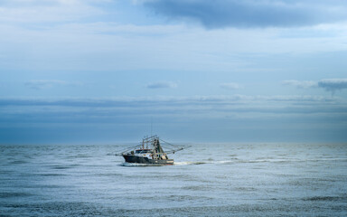 The Spit is a 5km long, relatively undeveloped, sandy isthmus starting at Main Beach and finishing at the seaway where Broadwater meets the Pacific Ocean.