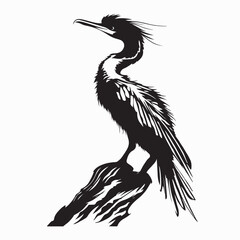 Cormorant On A Rock Images Vector Isolated on white background.