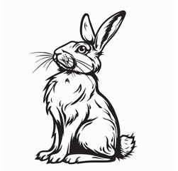 Hare Drawing Images Vector. Black and white Hare image vector isolated on white background.
