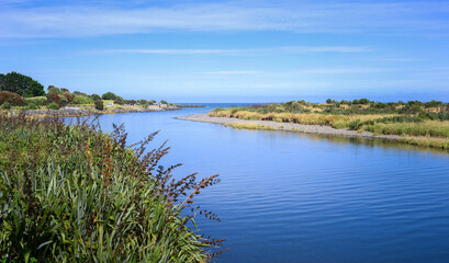 View of Waiwhakaiho river from Te Rewa Rewa Bridge. Native NZ flax and Pohutukawa trees in bloom along the river. New Plymouth.