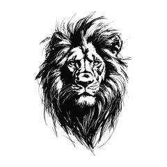 lion head sketch hand drawn template 2