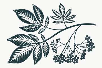 illustration of a branch with leaves