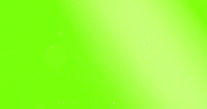 Particle, Fire Embers With Green Screen Use