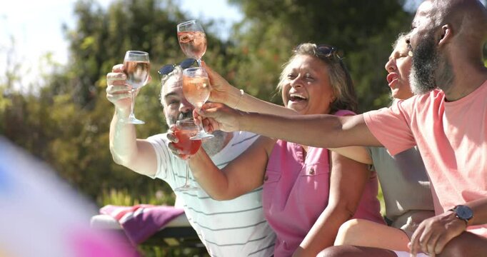 Senior friends toasting with wine glasses, enjoying outdoor gathering together