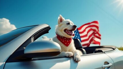 A patriotic dog driving a car while holding the United States flag, celebrating Independence Day on the 4th of July
