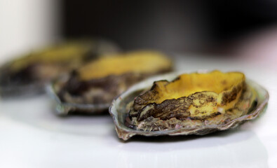 Abalone on a white plate. Fresh seafood steamed dish.
