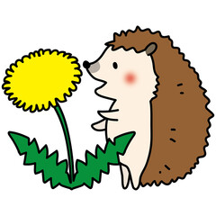 大きなタンポポとハリネズミ