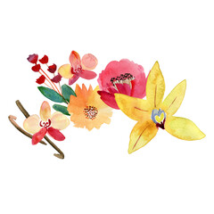 butterflies and flowers