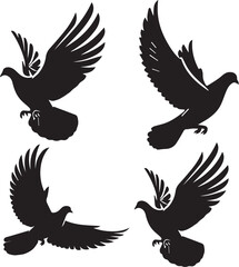 set of pigeon flying poses 