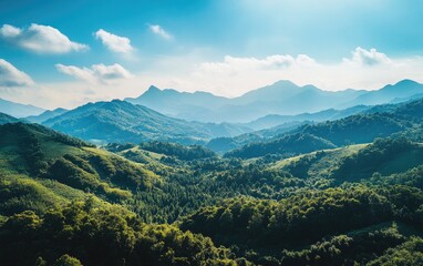 Beautiful forest landscape with green trees on the mountain top in autumn, blue sky. Aerial view of the hillside in summer. Forest panorama