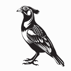 Fototapeta premium Quail Bird image vector. Black And White Illustration Quail Bird image Isolated On Background 