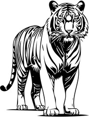 Black and white theme tiger illustration