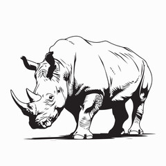 Rhino image vector. Hand drawn rhino illustration on white background.
