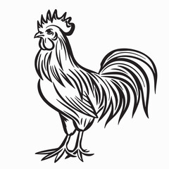 Rooster Standing Image Vector Illustration isolated on white background.