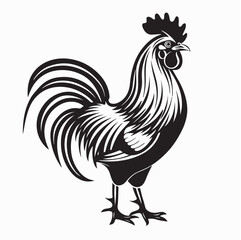 Black and white Rooster Standing Image Vector Illustration isolated on white background.