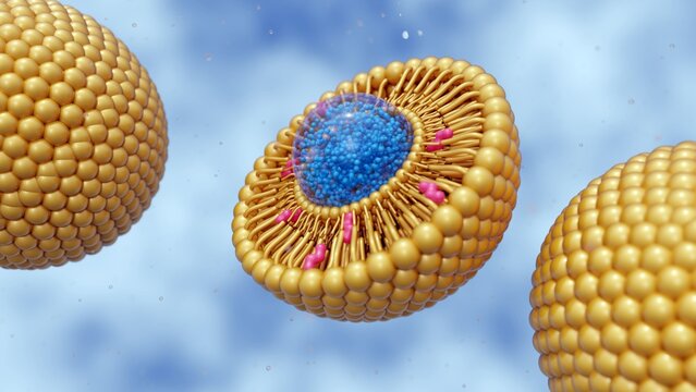 3d rendering of nanomedicine inside of liposome lipid bilayer with cholesterol molecules