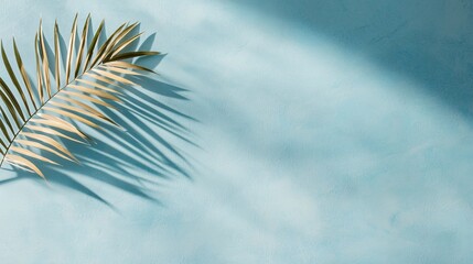 Refreshing Summer Vibe Minimalist Palm Leaf Background Coastal Setting Visual Art Tranquil Environment Aerial Perspective