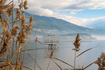 A small, weathered yellow platform stands in the still waters of Ioannina Lake in Greece. Several birds and seagulls are standing on it enjoying the view and tranquility. 