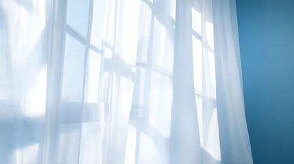 sheer curtains sunlight window