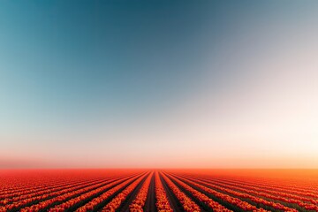 Vibrant sunset over expansive fields creates serene and colorful