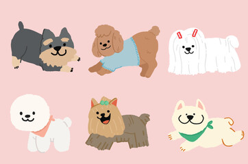 Cute dogs. Furry human friends home animals different breed pug, labrador and husky. Funny pets, happy puppies cartoon friendly comic doggy characters