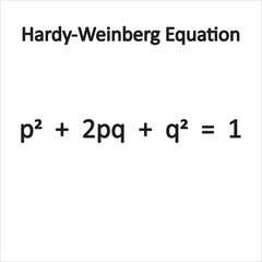 hardy-weinberg equation