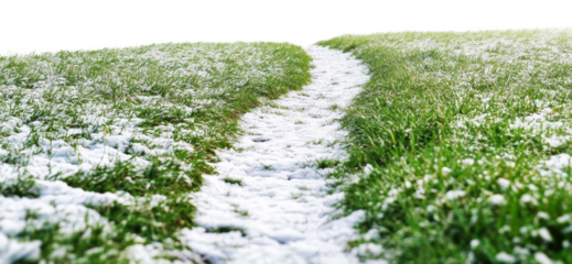 Pathway through snow and grass during winter, cut out - stock png.