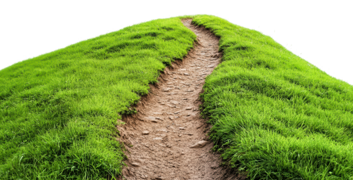 Winding path through lush green grass landscape, cut out - stock png.