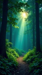 Dense foliage blocks moonlight from reaching path, dense, forest