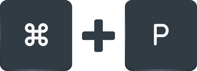 Obraz premium command + p