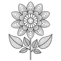 Obraz premium Elegant Black White Floral Design Intricate Flower Botanical Illustration art line book 