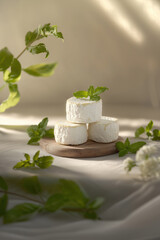 Delicate Cheese with Fresh Herbs