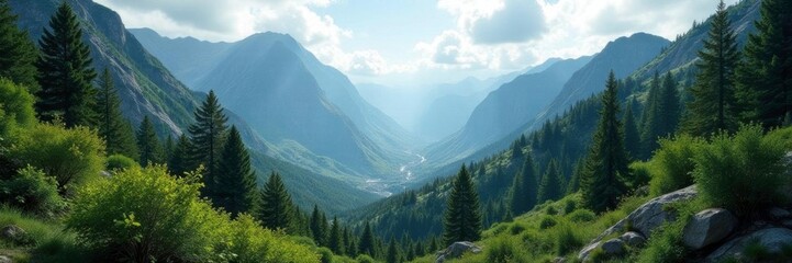 Obraz premium Dense foliage of conifers and deciduous trees amidst rugged mountain terrain, forest, serene