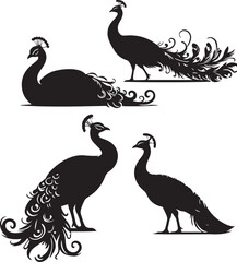 set of peafowl sitting poses,peafowl vector, bird silhouette, peacock poses, resting bird, black and white bird, peafowl illustration
