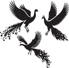Fototapeta premium set of peafowl sitting poses, flying peafowl, peacock silhouette, peahen silhouette, peafowl vector, bird silhouette, peacock flying,