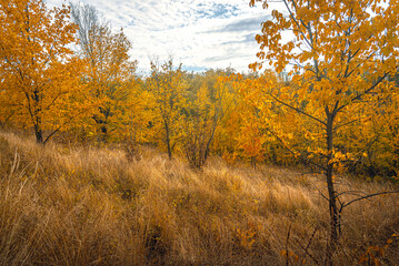 Autumn landscape on river