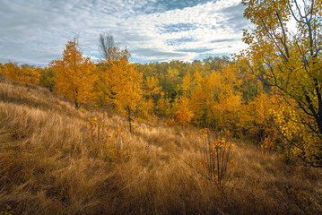 Autumn landscape on river