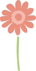 ガーベラの花1本のイラスト