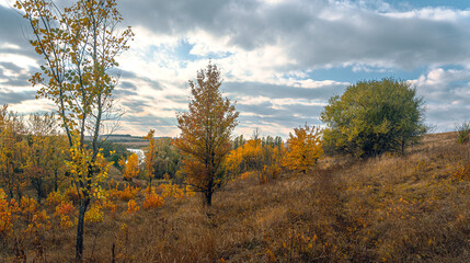 Fototapeta premium Autumn landscape on river
