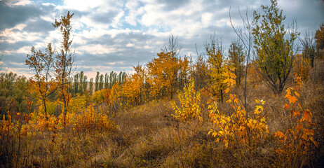 Fototapeta premium Autumn landscape on river