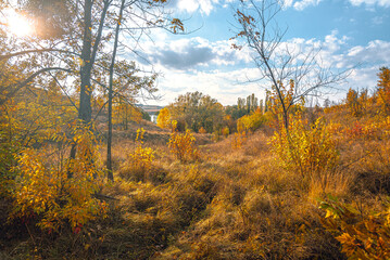 Fototapeta premium Autumn landscape on river