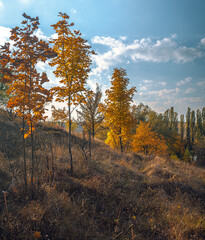 Fototapeta premium Autumn landscape on river