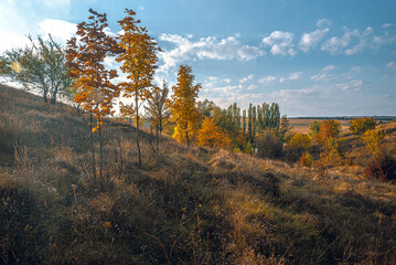 Fototapeta premium Autumn landscape on river