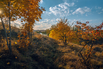 Fototapeta premium Autumn landscape on river