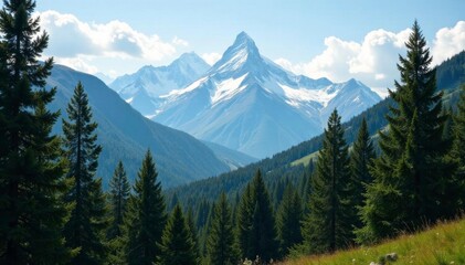 Obraz premium Dense forest with snow-capped mountains in the distance, trees, scenery