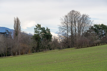 Fototapeta premium la campagne de Tournay, Chambésy, Genève
