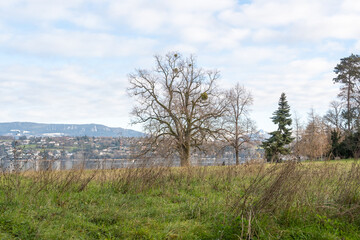 parc au bord du lac en hiver, Genève