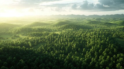 Fototapeta premium An expansive aerial view of a pristine pine forest with rolling hills in the background, showcasing the serenity and natural abundance of the environment
