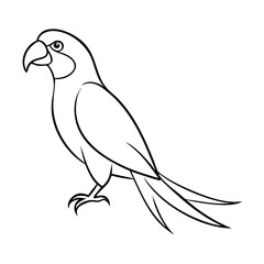 Obraz premium Minimalist outline drawing of a parrot