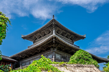 Fototapeta premium chinese temple in the park